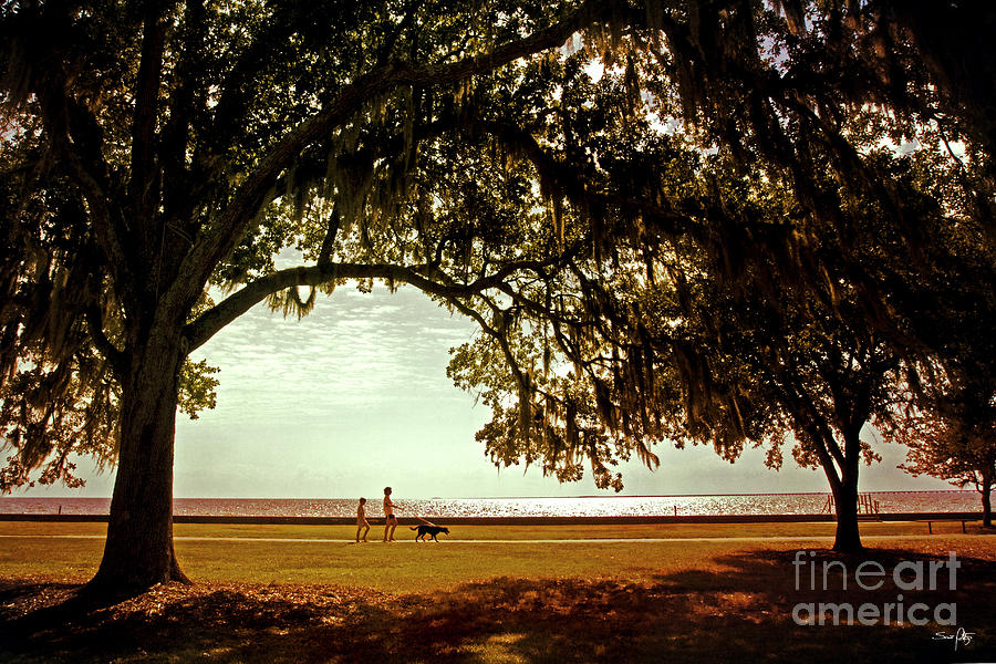 Mandeville Lakefront by Scott Pellegrin