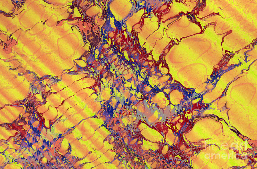 Marbled Paper #1 Photograph by Ted Kinsman
