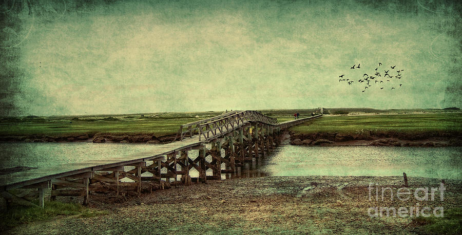 Bridge Photograph - Marshland #1 by Gina Cormier