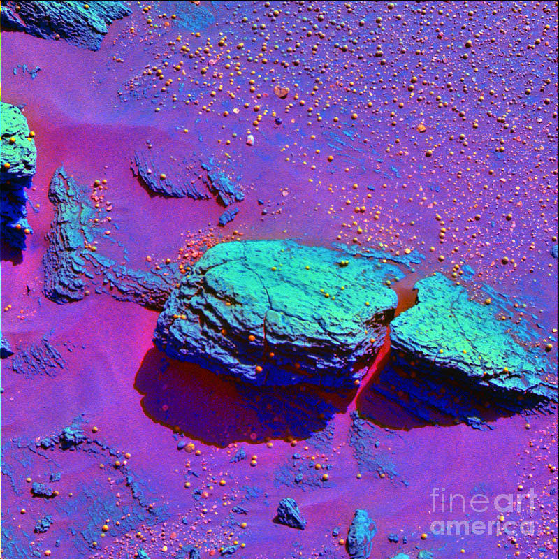 Martian Rock #1 Photograph by NASA / JPL-Caltech / Cornell Univserity