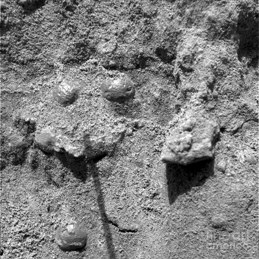Martian Soil #1 Photograph by NASA / JPL-Caltech / U.S. Geological Survey
