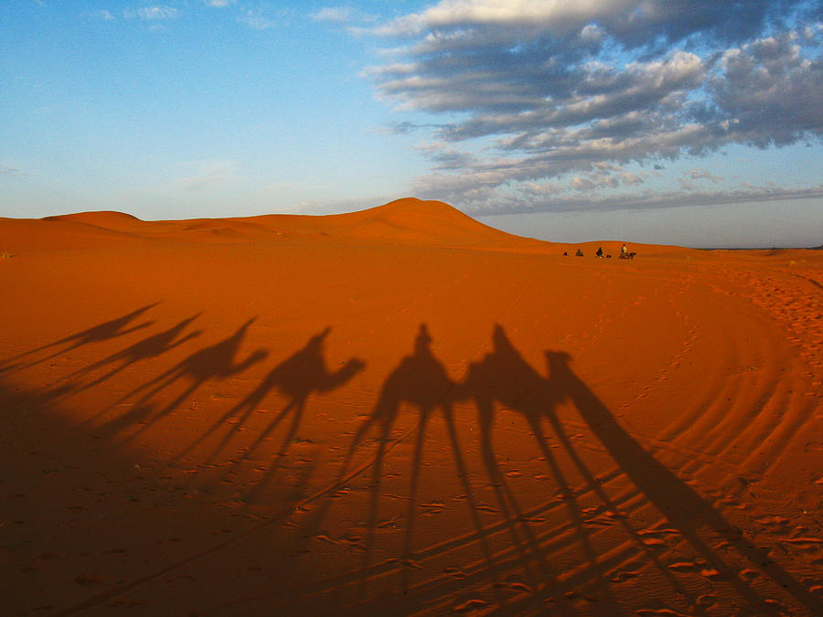 Merzouga Desert Morocco Photograph by Ian Stevenson - Fine Art America