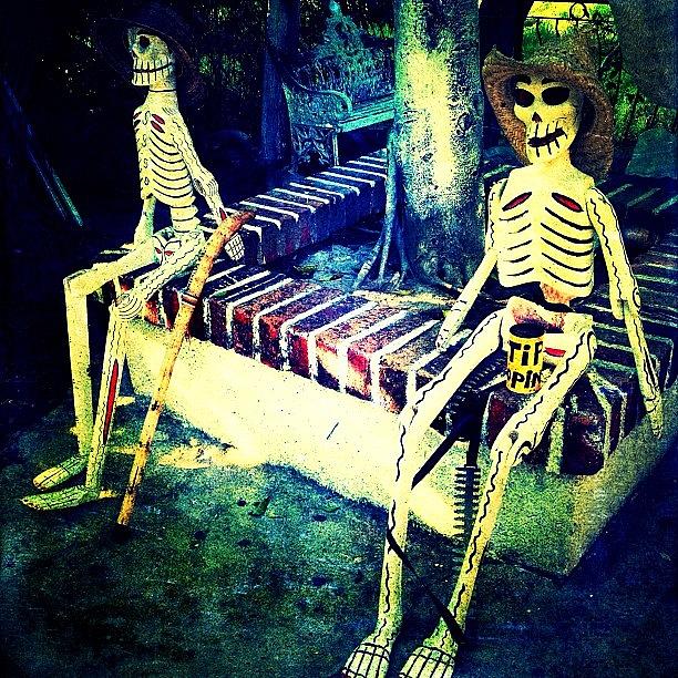 Skeleton Photograph - Mexican Skeletons (puerto Vallarta) #1 by Natasha Marco