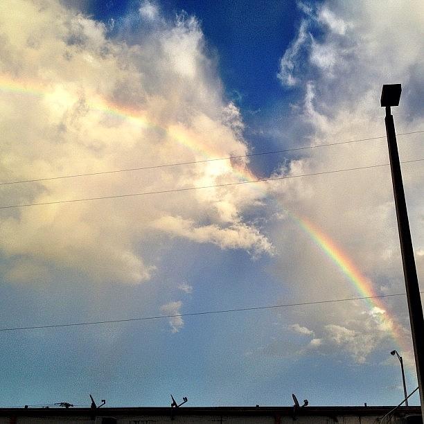 Up Movie Photograph - #miami #reflection #rainbow #1 by Artist Mind