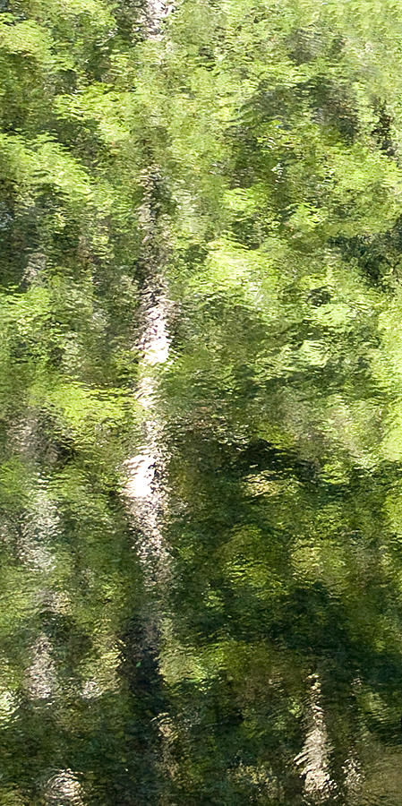 Mill Creek Reflection #1 Photograph by Betty Depee