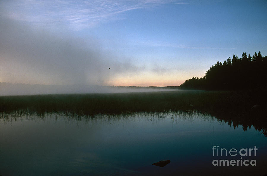Minnesota: Lake Itasca #1 Photograph by Granger