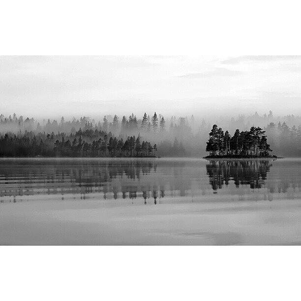 Nature Photograph - Misty Lake Bw #iphonesia #instagood #1 by Robin Hedberg