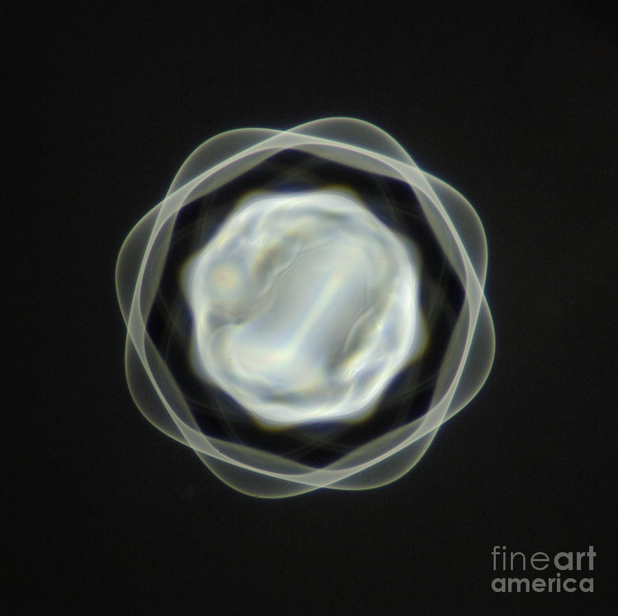 1 Mm Vibrating Bubble Photograph by Raul Gonzalez Perez