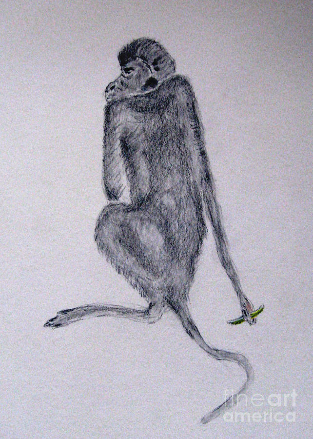Monkey #1 Drawing by Patricia Januszkiewicz