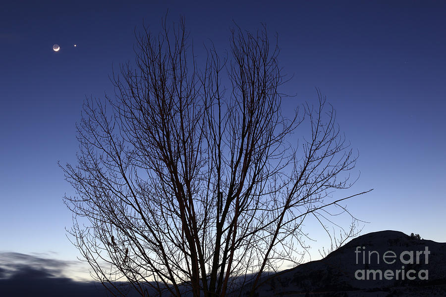 Planet Photograph - Moon And Venus Conjunction #1 by Yuichi Takasaka