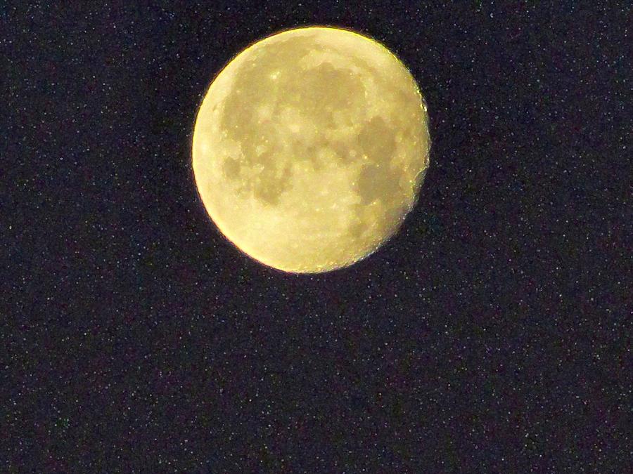 Moon #1 Photograph by Susan Carella