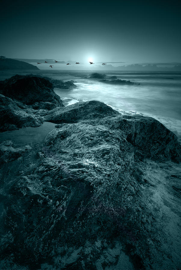 Bird Photograph - Moonlit beach #1 by Jaroslaw Grudzinski