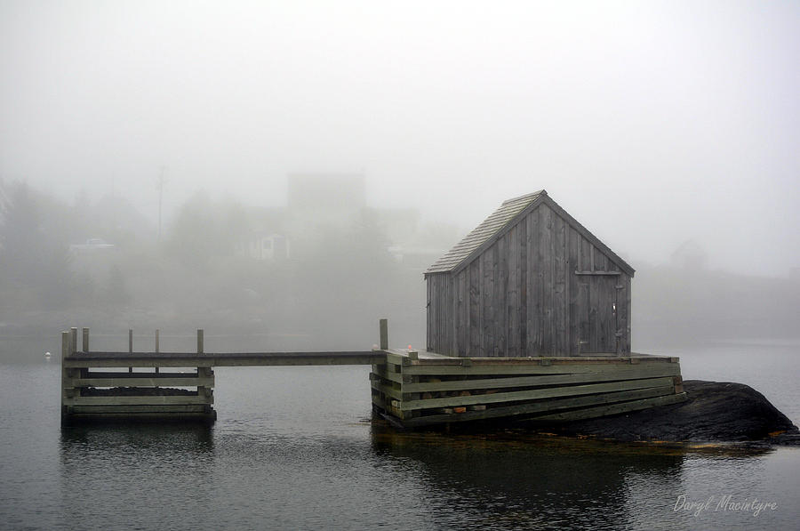 Landscape Photograph - Morning Fog #1 by Daryl Macintyre