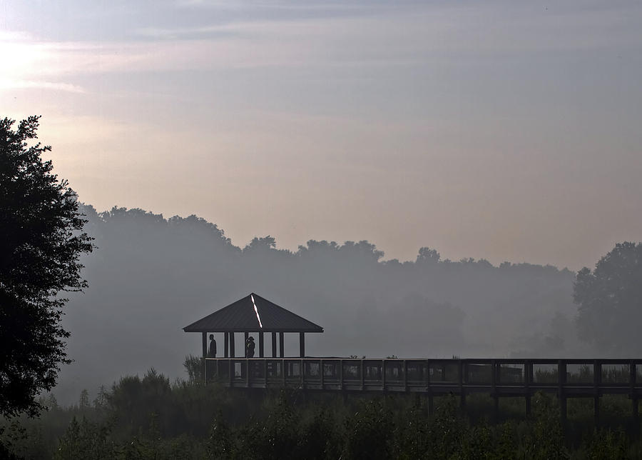 Morning Fog #1 Photograph by Farol Tomson