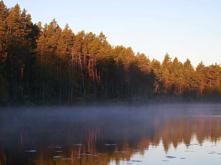 Morning Mist At Haukkajarvi Photograph