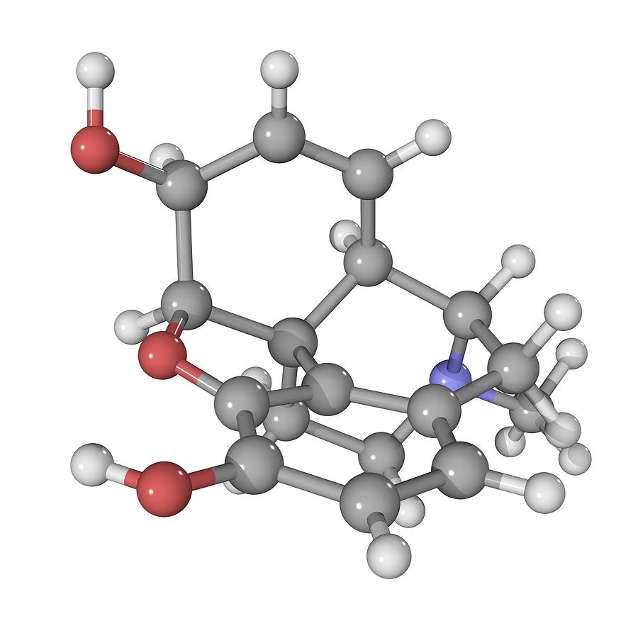 Morphine Drug Molecule Photograph by Laguna Design - Fine Art America