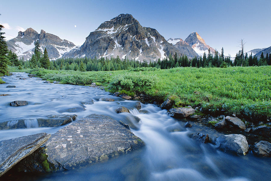 Mount Assiniboine Photograph by David Nunuk