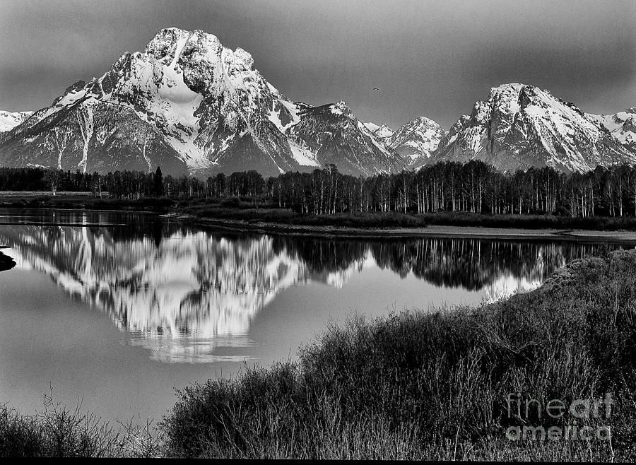 Mount Moran from Oxbow Bend #2 Photograph by Dennis Hammer