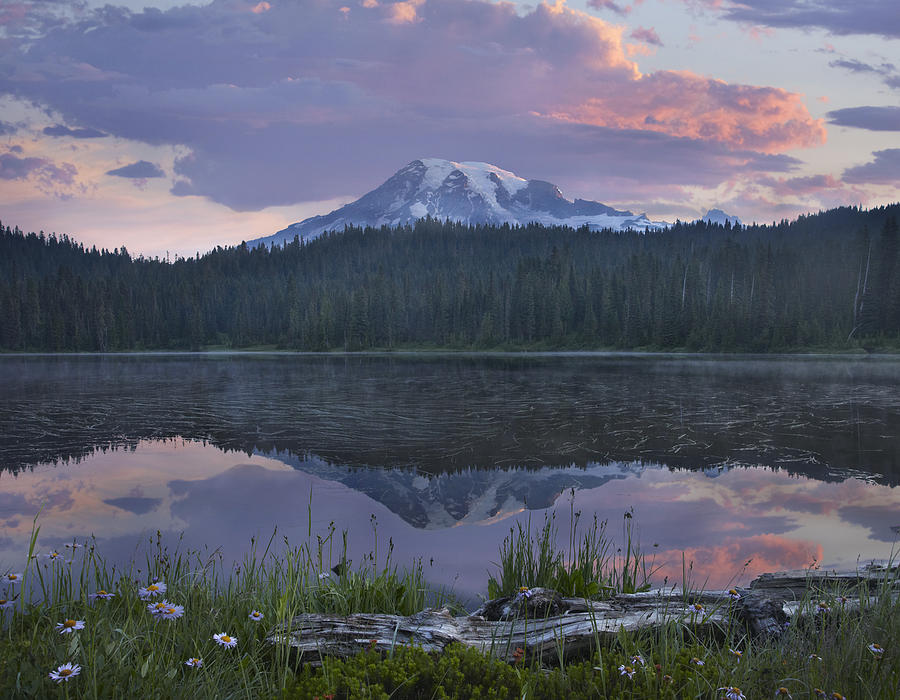 Mount Rainier And Reflection Lake Mount #1 Photograph by Tim Fitzharris