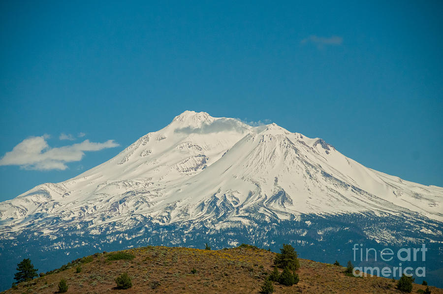 Mount Shasta #1 Digital Art by Carol Ailles