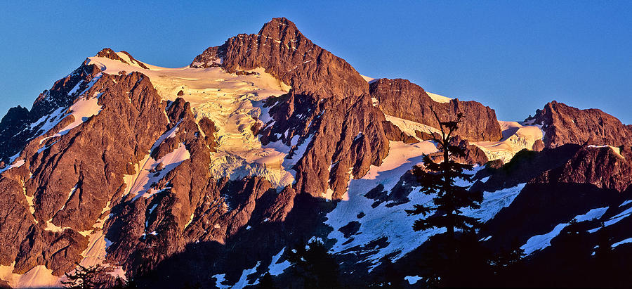 North Cascades National Park Photograph - Mount Shuksan by Tim Rayburn