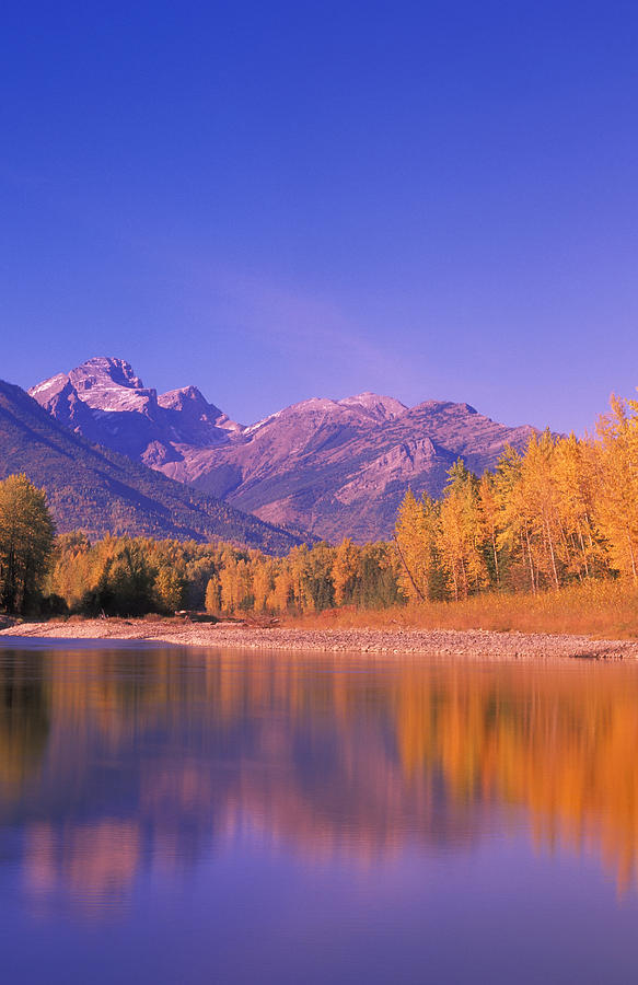 Mountain River With Forest In Autumn Photograph by Carson Ganci