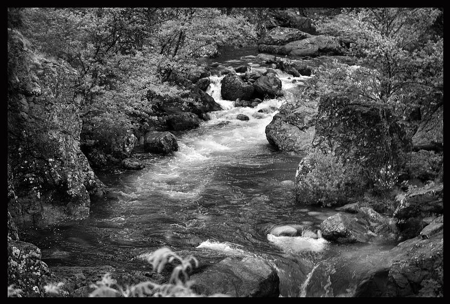 Mountain Stream. #1 Photograph by Terence Davis