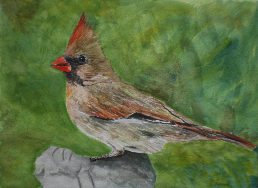 Mrs. Cardinal #1 Painting by Betty-Anne McDonald