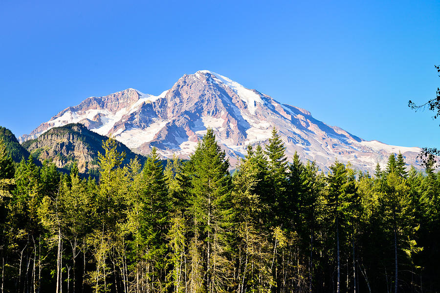 Mount Rainier National Park Photograph - Mt Rainier #1 by Greg Norrell