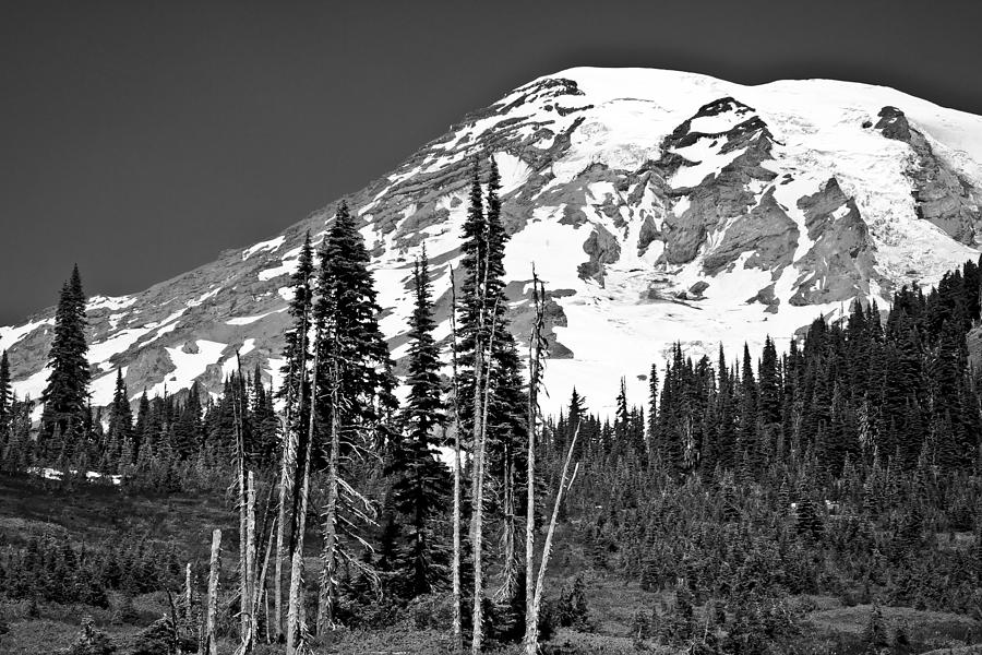 Mt. Rainier III #1 Photograph by David Patterson