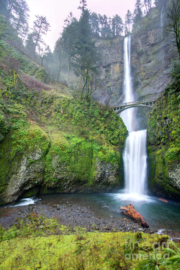 Multnomah Falls Waterfall Oregon Columbia River Gorge by Dustin K Ryan