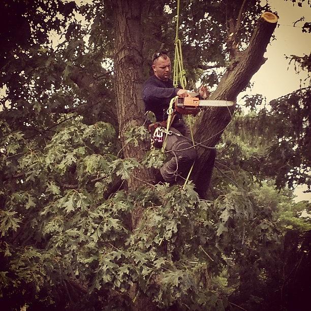 Rope Photograph - My Bro In Law Cutting Tree Branches #1 by Danielle Mcneil