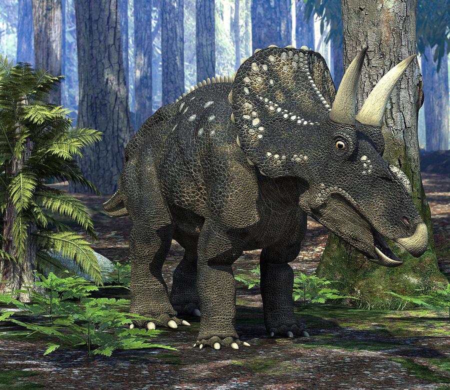 Diceratops Photograph - Nedoceratops Dinosaur, Artwork by Roger Harris Diceratops Photograph - Nedoceratops Dinosaur, Artwork by Roger Harris