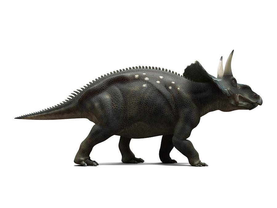 Nedoceratops Dinosaur, Artwork Photograph By Sciepro - Fine Art America