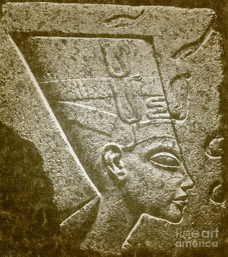 Nefertiti, Ancient Egyptian Queen #1 Photograph by Science Source