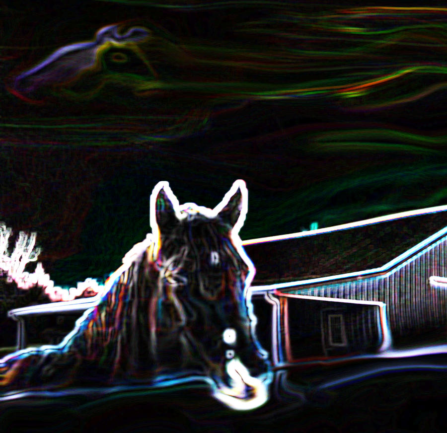 Neon Horse #1 Photograph by Shannon Harrington