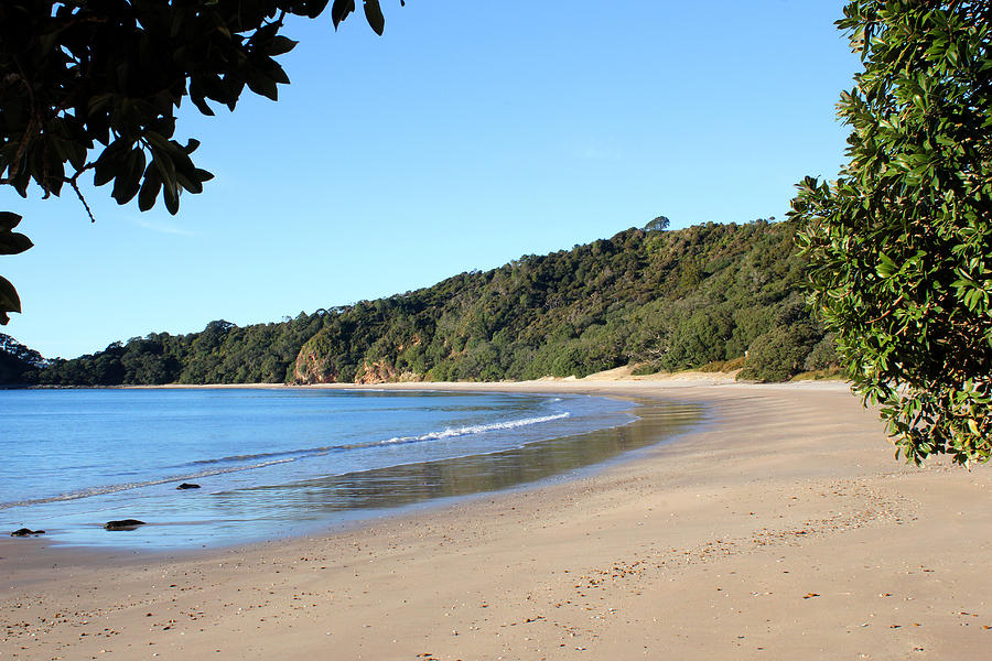 New Chums Beach - New Zealand Photograph by CzrArt - Pixels