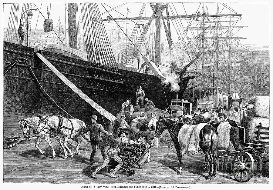 New York City Docks, 1877 #1 Photograph by Granger