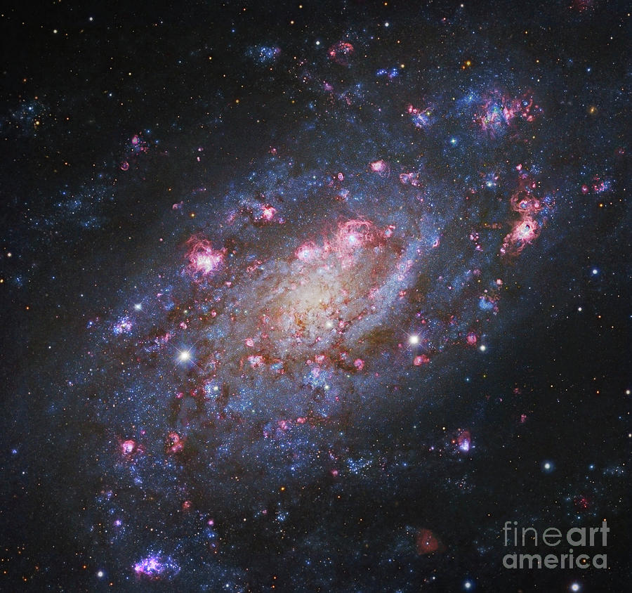Ngc 2403, A Spiral Galaxy #1 Photograph by Robert Gendler