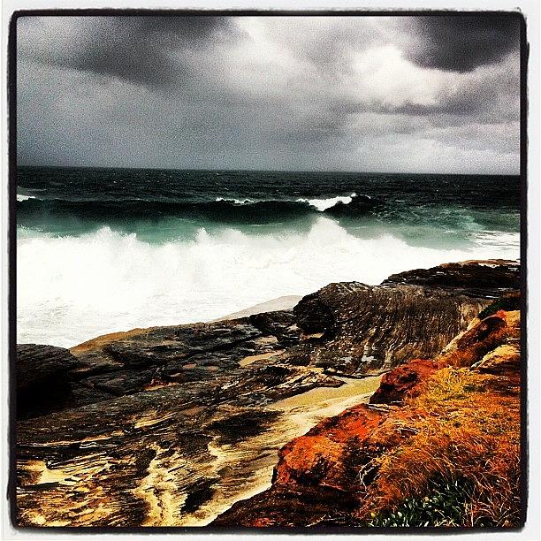 North Curly Swell #1 Photograph by Colette Grigg