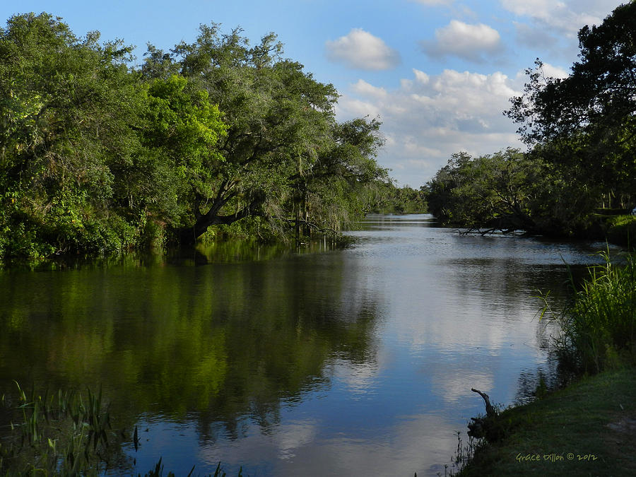 North Fork St. Lucie River Photograph by Grace Dillon - Fine Art America