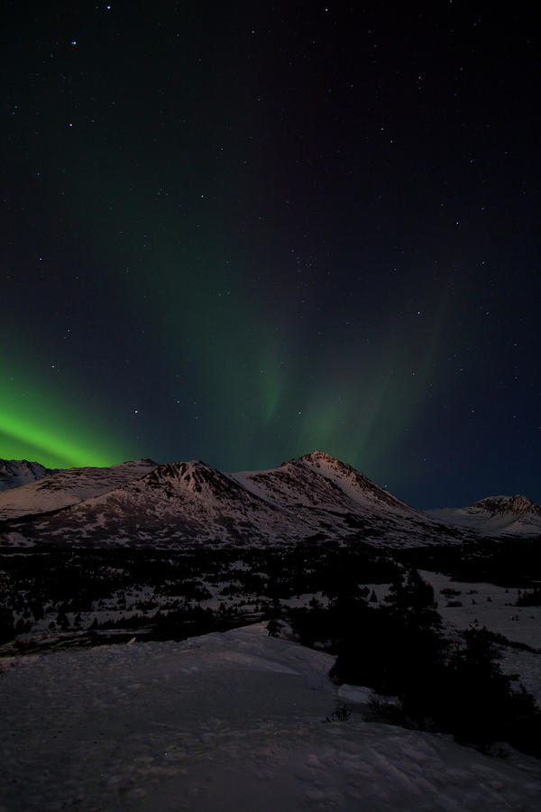 Anchorage Photograph - Northern Lights #1 by Tim Grams