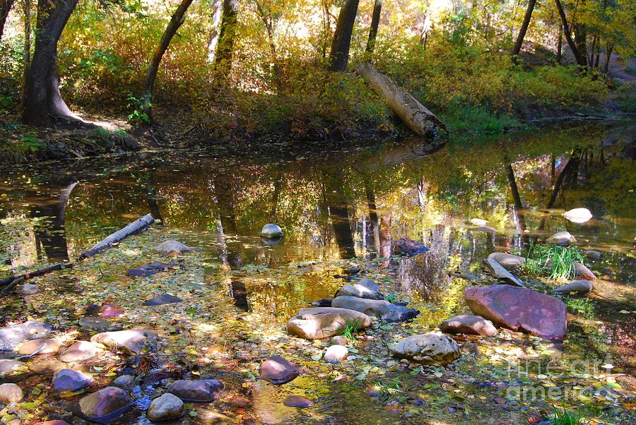 Oak Creek Reflection #1 Photograph by Tam Ryan