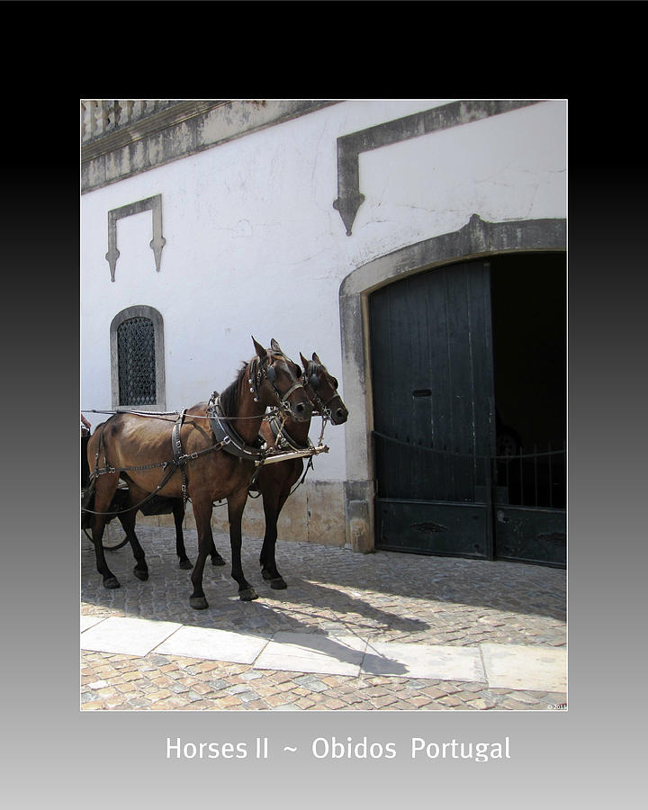 Obidos Horses II Portugal #1 Photograph by John Shiron