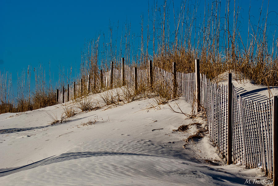 Ocean Dunes Photograph by Matthew Trudeau | Fine Art America