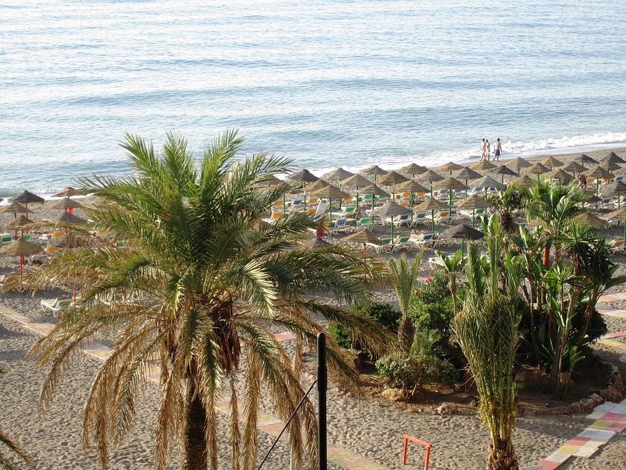 Ocean View and Palm Trees at Costa Del Sol Beach Spain #1 Photograph by John Shiron