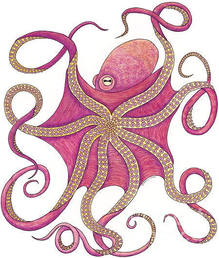 Octopus Drawing - Octopus #2 by Carol Lynne