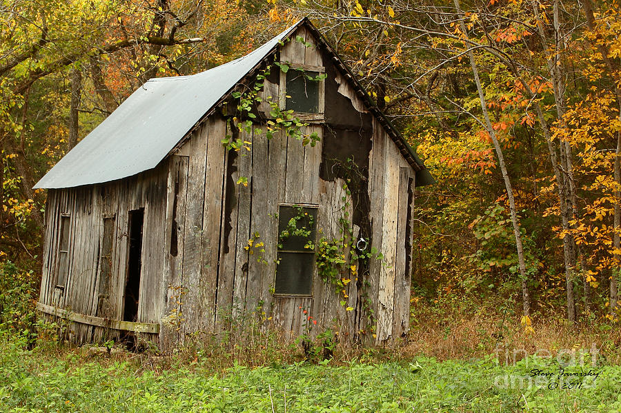 Old Barn #1 Photograph by Steve Javorsky