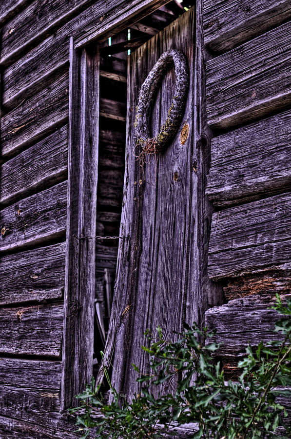 Old Cabin Door HDR #1 Photograph by Jason Blalock