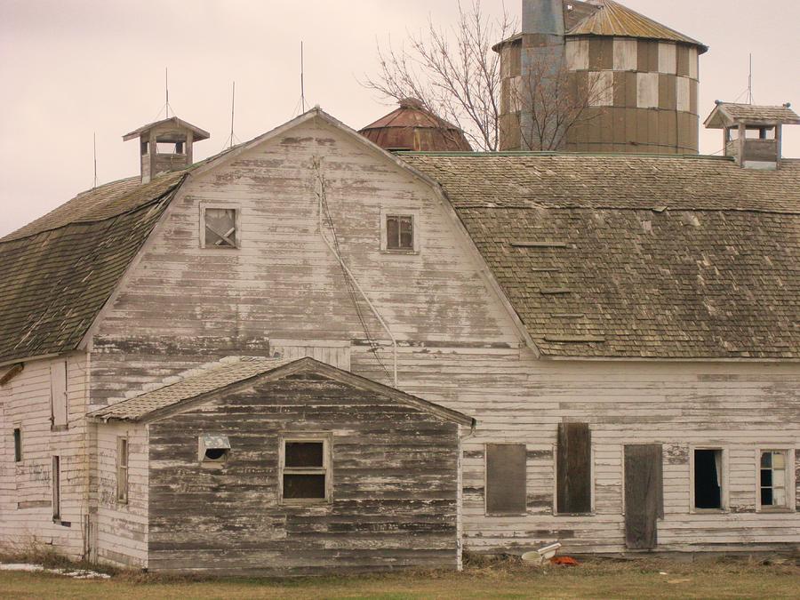 Old Dairy Farm Photograph by Trish Pitts - Fine Art America